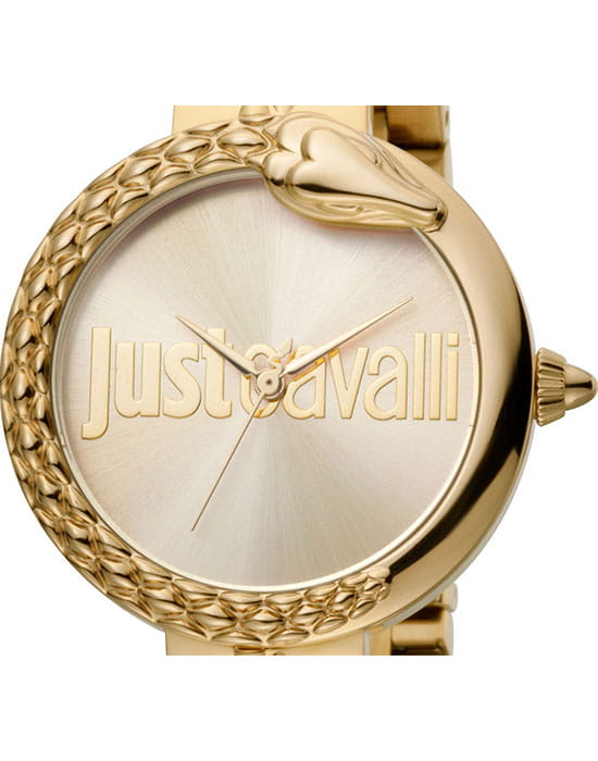 Just Cavalli Just Cavalli  JC1L097M0075 , наручные женские часы фото под углом