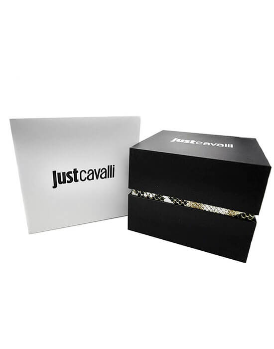 Just Cavalli Just Cavalli Logo JC1L032L0045 кварцевые женские часы часы крупный план серебристый циферблата