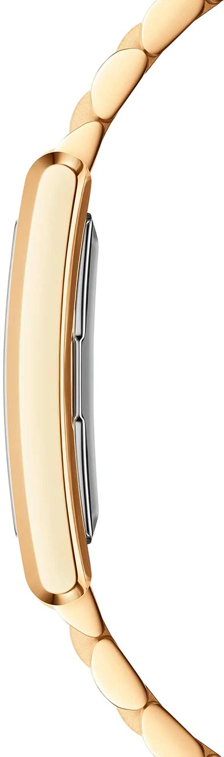 Оригинальные часы Daniel Wellington Daniel Wellington Bound 3-Link Gold DW00100703 кварцевые калибр механизма  общий вид