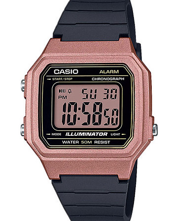 Casio Collection W-217HM-5A