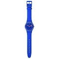 Swatch SO29N705