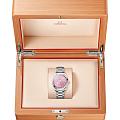 Omega Omega Seamaster Aqua Terra 220.10.38.20.10.005 Aqua Terra — задняя крышка металл сталь корпуса швейцарские часы
