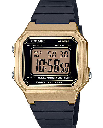 Casio Collection W-217HM-9A