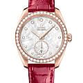 Часы Omega Seamaster Aqua Terra 220.58.38.20.55.002
