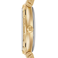 Часы Salvatore Ferragamo Signature SFDM00218 фото 3