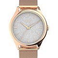 Часы Timex Celestial Opulence TW2V01400