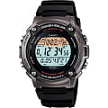 Часы Casio Illuminator W-S200H-1A