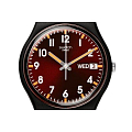 Часы Swatch Gent Biosourced Standard SO28B704 фото 6