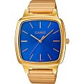 Часы Casio Collection LTP-E117G-2AEF