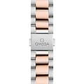 Omega Omega Seamaster Aqua Terra 220.20.34.20.60.001 seamaster швейцарские женские часы на браслете нержавеющая сталь + золото 18к боковой вид