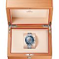 Часы Omega Seamaster Diver 300M 210.30.44.51.06.001 фото 3
