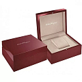 Часы Salvatore Ferragamo Ferragamo Style SFYG00121 фото 4