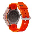 Часы Casio G-Shock DW-6900GL-4DR (DW-6900GL-4ER) фото 4