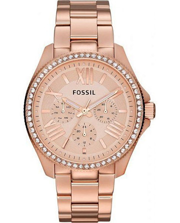 Fossil Bannon  AM4483