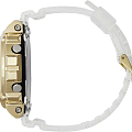 Часы Casio G-Shock GM-6900SG-9DR (GM-6900SG-9ER) фото 5