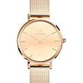 Daniel Wellington Daniel Wellington Petite Reflection Rose Gold DW00100795  DW00100795 кварцевые женские часы  золотой циферблат, браслет нержавеющая сталь с pvd-покрытием — вид спереди