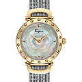 Часы Salvatore Ferragamo SFDM00618