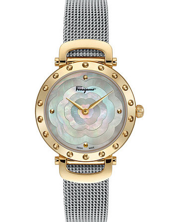 Salvatore Ferragamo SFDM00618