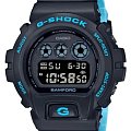 Часы Casio G-Shock DW-6900BWD-1DR