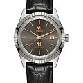 Часы Rado Golden Horse Automatic R33101105