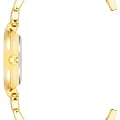 Anne Klein Anne Klein Metals 3918LVGB  американские женские часы на браслете сталь c pvd покрытием боковой вид