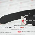 Часы Victorinox ALLIANCE 241904 фото 11