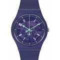 Часы Swatch Gent Biosourced Standard SO28V102