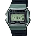 Часы Casio Collection  F-91WM-1BDF (F-91WM-1B)