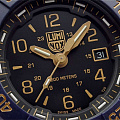Часы Luminox Navy SEAL Steel XS.3255.CB.NSF фото 3
