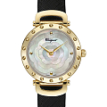 Часы Salvatore Ferragamo Signature SFDM00218