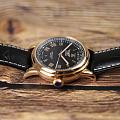 Часы Aviator Douglas Day-Date V.3.35.2.275.4 фото 5