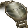 Часы Rado True Thinline x Great Gardens of the World R27121302 фото 2