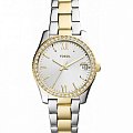 Часы Fossil Bannon  ES4319