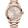 Часы Omega Seamaster Aqua Terra 220.50.34.20.09.001
