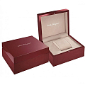 Часы Salvatore Ferragamo Signature SFDM00118 фото 5