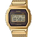Часы Casio Vintage A1000MGA-5