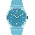 Часы Swatch Gent Biosourced Standart SO28S101