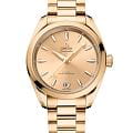 Часы Omega Seamaster Aqua Terra 220.50.34.20.08.001