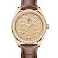 Часы Omega Seamaster Aqua Terra 220.58.34.20.99.008