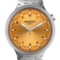 Часы Swatch Big Bold Irony Standard SB07S103G фото 2